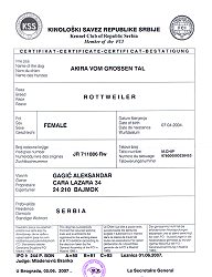 INT CH Akira Vom Grossen Tal IPO Certificate