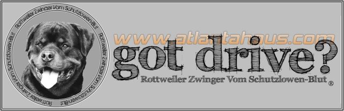 Proud Home Of Rottweiler Zwinger Vom Schutlowen-Blut